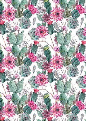 Estores de rolo interiores blackout Flor de cacto