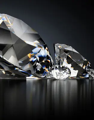 Estores de rolo interiores blackout Diamantes