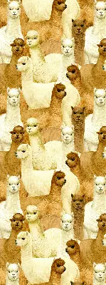 Estores de rolo interiores blackout para janela Um rebanho de alpacas