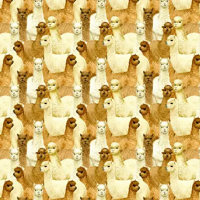 Estores de rolo interiores blackout para janela Um rebanho de alpacas