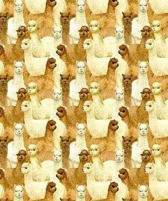 Estores de rolo interiores blackout para janela Um rebanho de alpacas