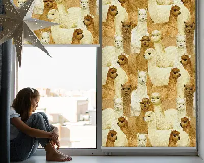 Estores de rolo interiores blackout para janela Um rebanho de alpacas
