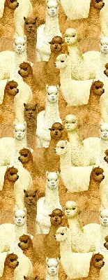 Estores de rolo interiores blackout para janela Um rebanho de alpacas