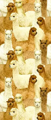 Estores de rolo interiores blackout para janela Um rebanho de alpacas