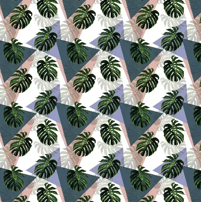 Estores de rolo interiores blackout para janela As folhas da planta
