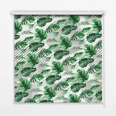 Estores de rolo blackout para porta de varanda Folhas tropicais