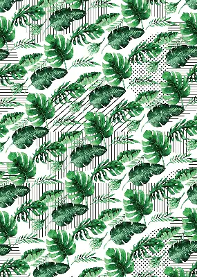 Estores de rolo blackout para porta de varanda Folhas tropicais