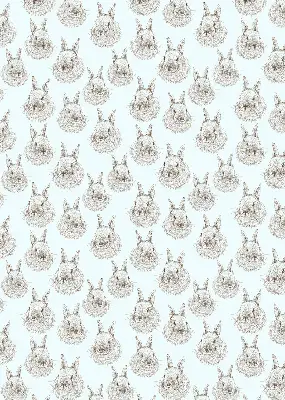 Estores de rolo interiores blackout para janela Coelhos
