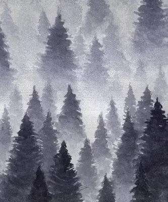 Estores de rolo interiores blackout para janela Floresta enevoada