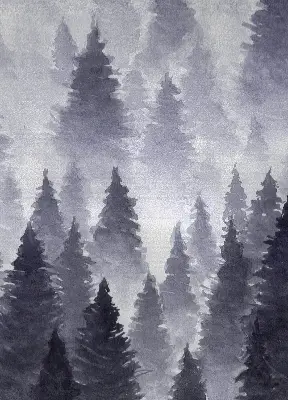 Estores de rolo interiores blackout para janela Floresta enevoada