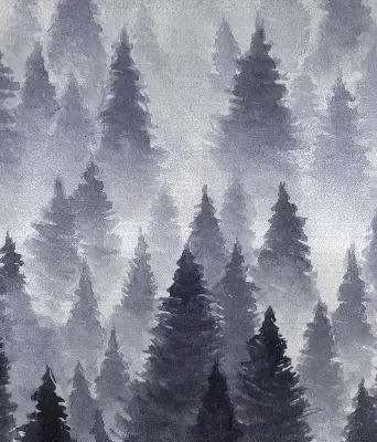 Estores de rolo interiores blackout para janela Floresta enevoada