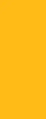Estores de rolo interiores blackout Laranja