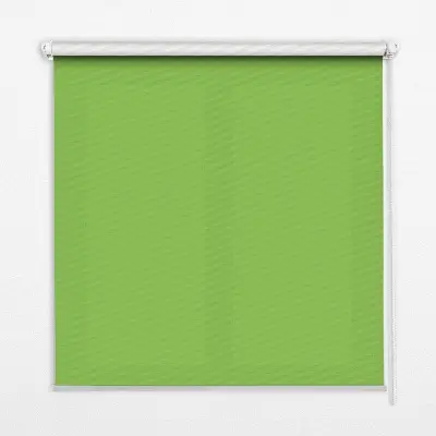 Estores de rolo interiores blackout Verde