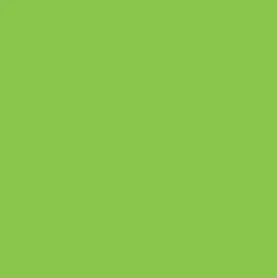 Estores de rolo interiores blackout Verde