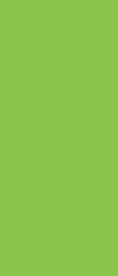 Estores de rolo interiores blackout Verde