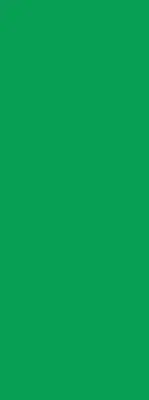 Estores de rolo em tecido blackout Verde