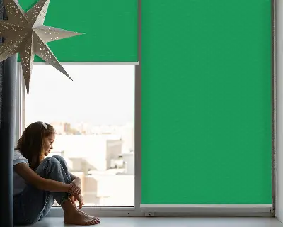 Estores de rolo em tecido blackout Verde