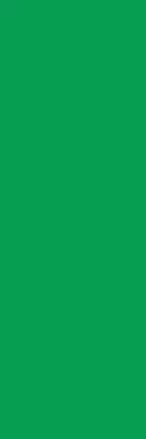 Estores de rolo em tecido blackout Verde