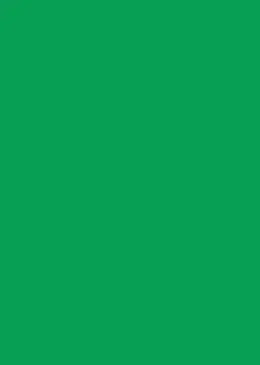 Estores de rolo em tecido blackout Verde