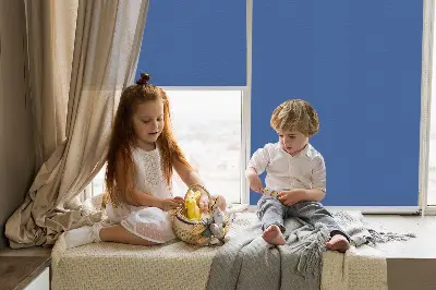 Estores de rolo interiores blackout Azul