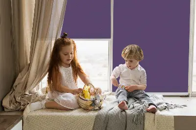 Estores de rolo interiores blackout para janela Roxo