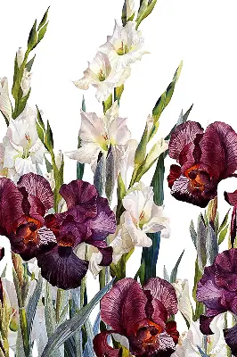 Estores de rolo blackout para porta de varanda Florzinhas
