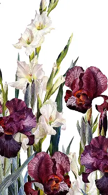 Estores de rolo blackout para porta de varanda Florzinhas
