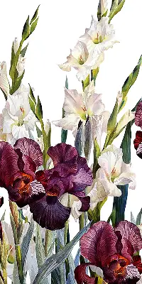Estores de rolo blackout para porta de varanda Florzinhas