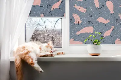 Estores de rolo interiores blackout para janela Gatos cor-de-rosa