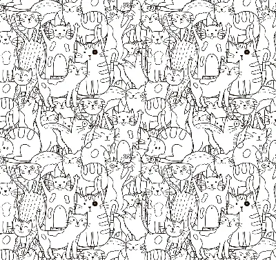 Estores de rolo interiores blackout para janela Gatos desenhados