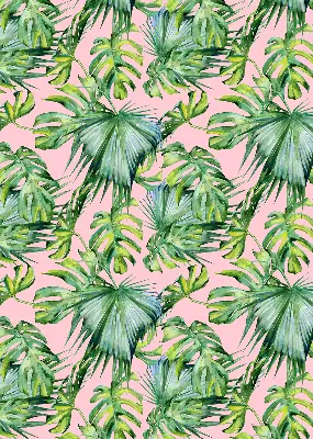 Estores de rolo em tecido blackout Variedades de folhas tropicais