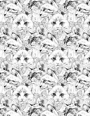 Estores de rolo em tecido blackout Gatos desenhados