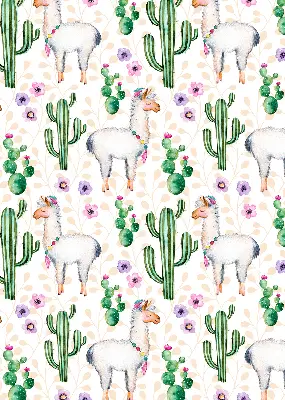Estores de rolo interiores blackout para janela Lhamas e cactos
