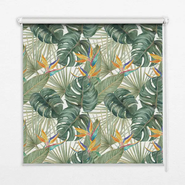 Estores de rolo interiores blackout Plantas tropicais