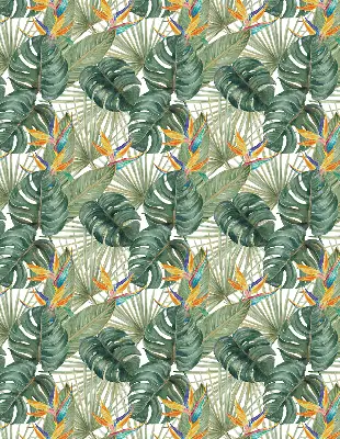 Estores de rolo interiores blackout Plantas tropicais