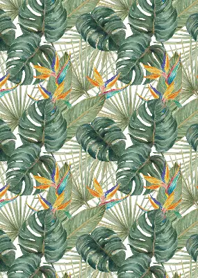 Estores de rolo interiores blackout Plantas tropicais