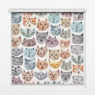Estores de rolo interiores blackout para janela rostos de gato coloridos