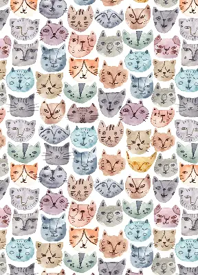 Estores de rolo interiores blackout para janela rostos de gato coloridos