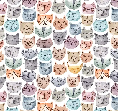Estores de rolo interiores blackout para janela rostos de gato coloridos