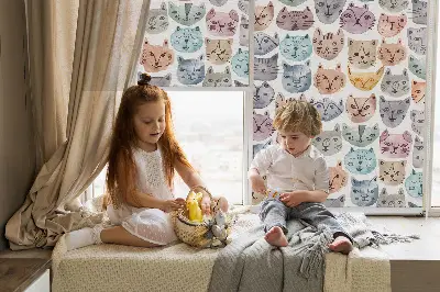 Estores de rolo interiores blackout para janela rostos de gato coloridos