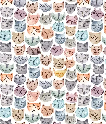 Estores de rolo interiores blackout para janela rostos de gato coloridos