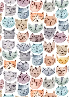 Estores de rolo interiores blackout para janela rostos de gato coloridos