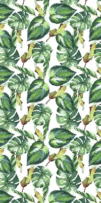 Estores de rolo interiores blackout para janela Plantas tropicais