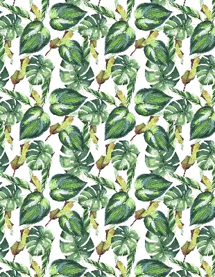Estores de rolo interiores blackout para janela Plantas tropicais