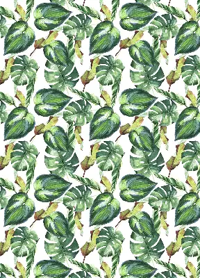 Estores de rolo interiores blackout para janela Plantas tropicais