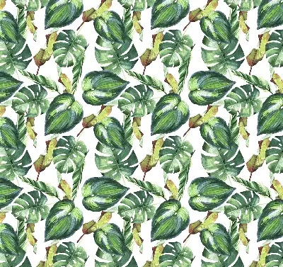 Estores de rolo interiores blackout para janela Plantas tropicais
