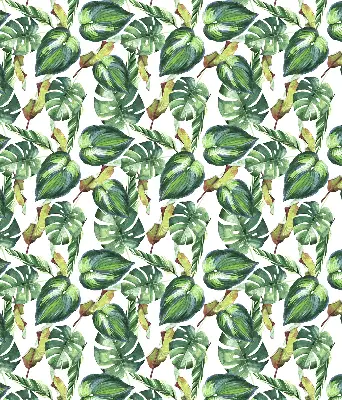Estores de rolo interiores blackout para janela Plantas tropicais