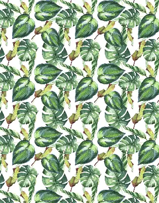 Estores de rolo interiores blackout para janela Plantas tropicais