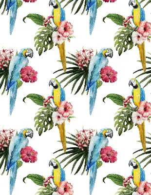 Estores de rolo em tecido blackout Papagaio em flores