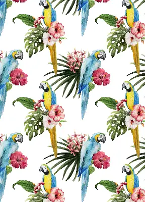 Estores de rolo em tecido blackout Papagaio em flores